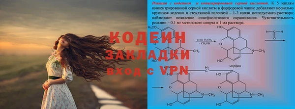 амф Осинники
