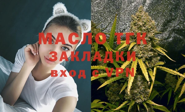стаф Аркадак