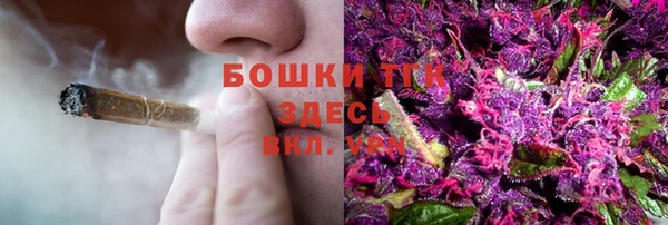 стаф Аркадак