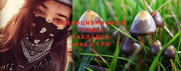 синтетический гашиш Арсеньев