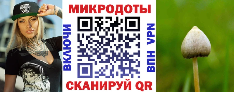 Галлюциногенные грибы прущие грибы  Темрюк 
